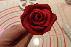 20191031_120547